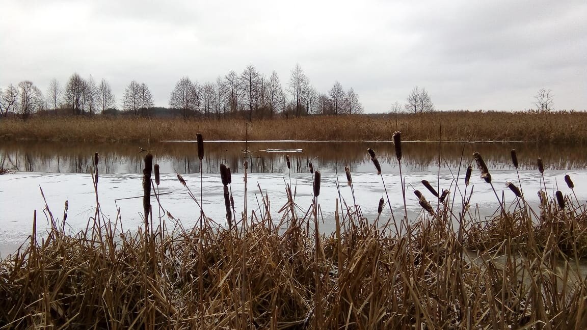 Photo #5653308