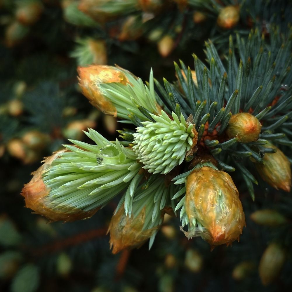 Photo #5653320
