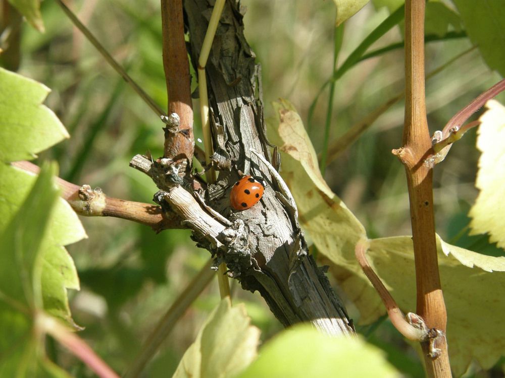 Photograph by Adriana Raileanu