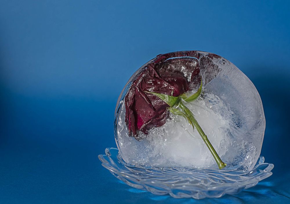 Photograph by Елена Плотникова