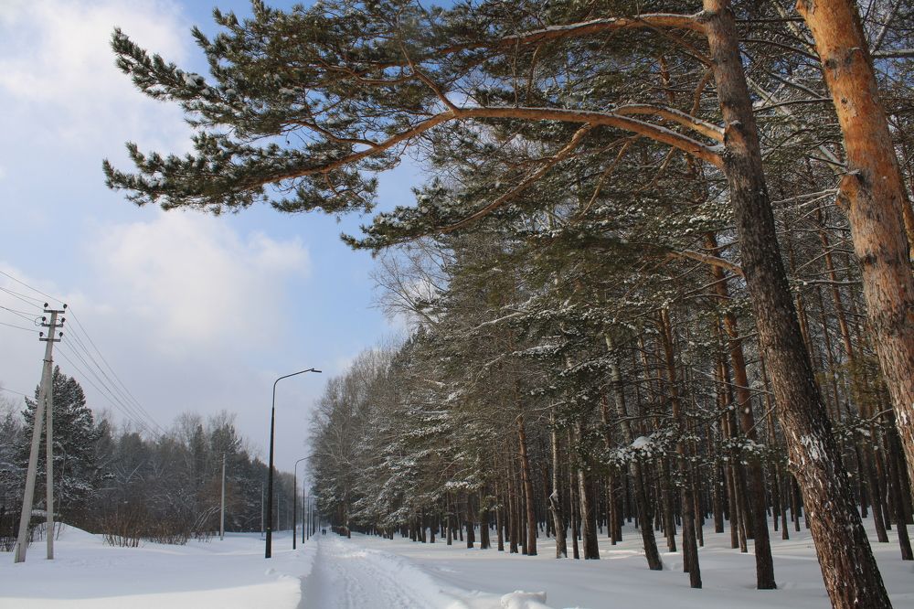 Фотография автора Александр Черепанов