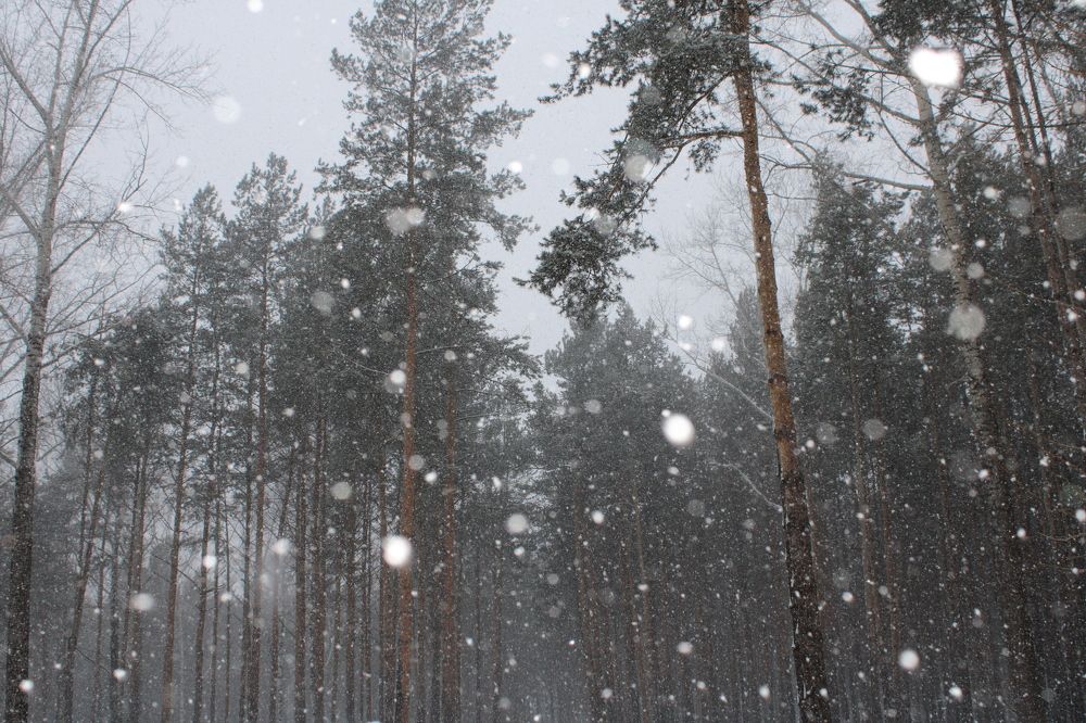 Фотография автора Александр Черепанов