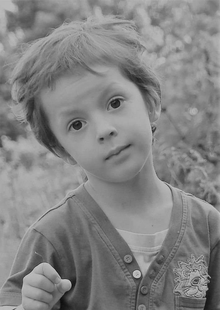Photo #5653485
