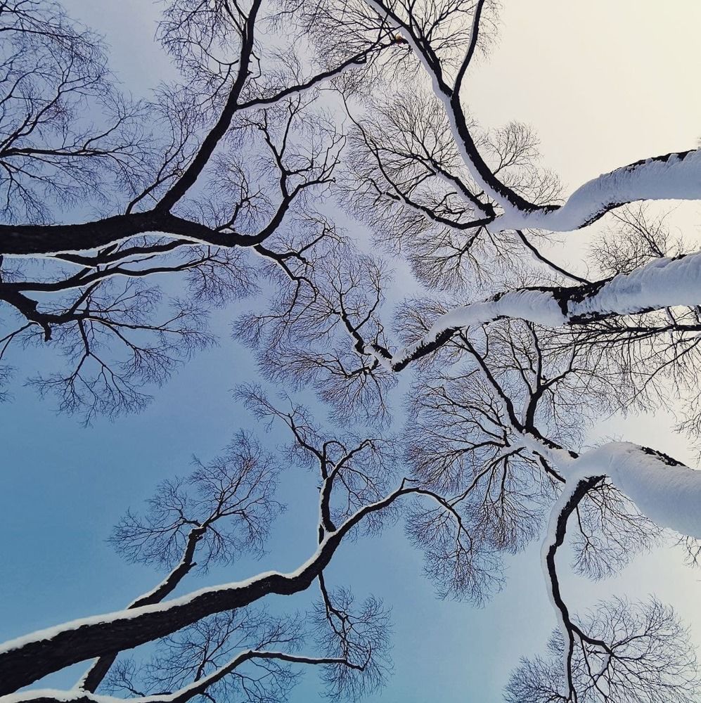 Photograph by Kristina Frizyuk