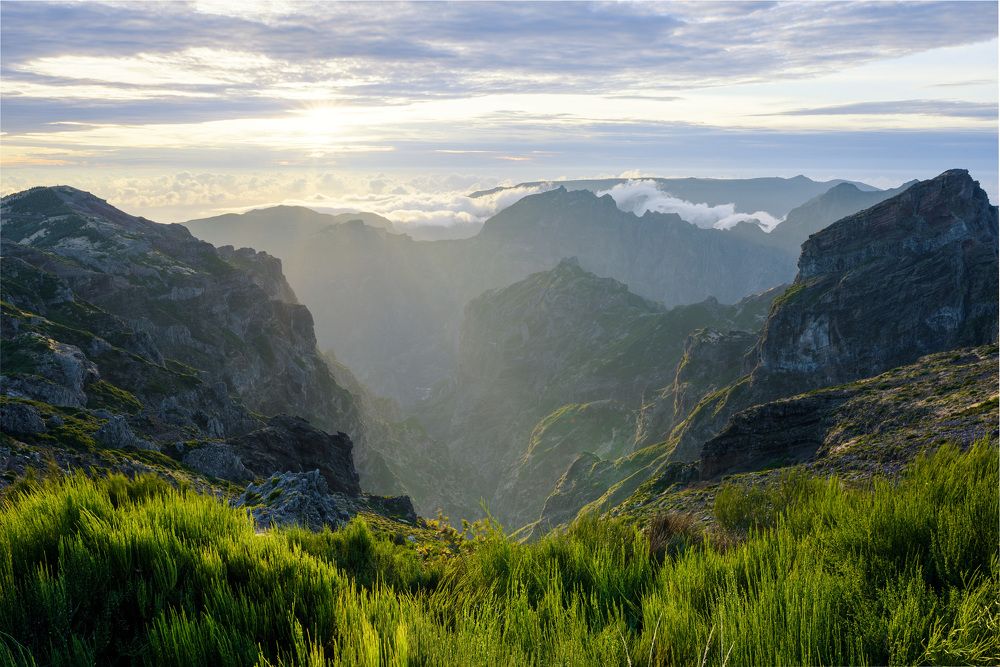 Photograph by Vitalis Vasylius