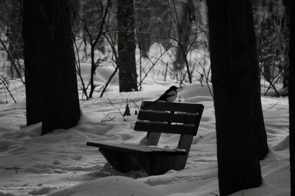 Photograph by Екатерина Миц