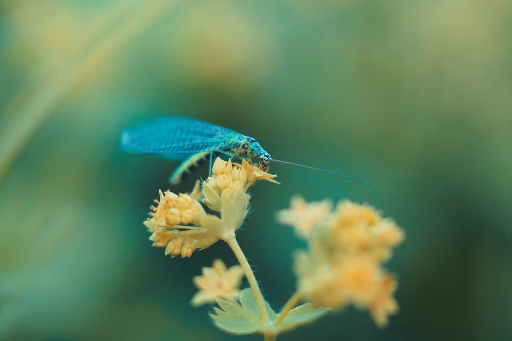 Photograph by Татьяна Александрова