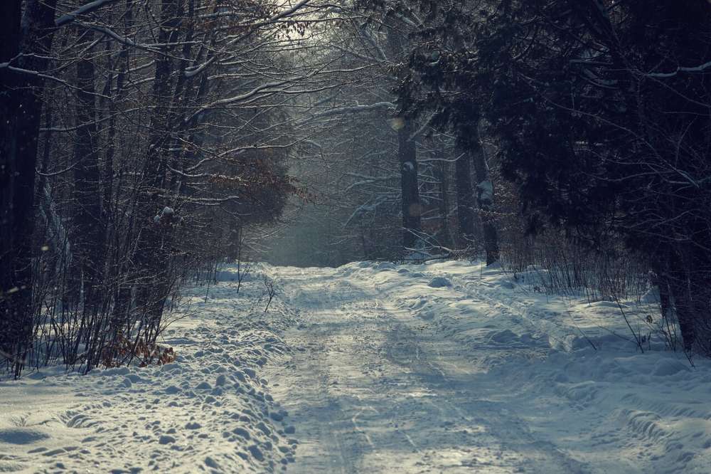 Photograph by Екатерина Миц
