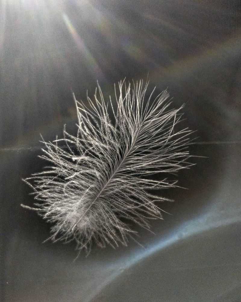 Photograph by Оксана Сабылина