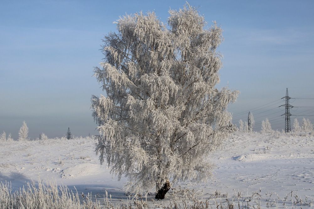 Фотография автора Александр Черепанов