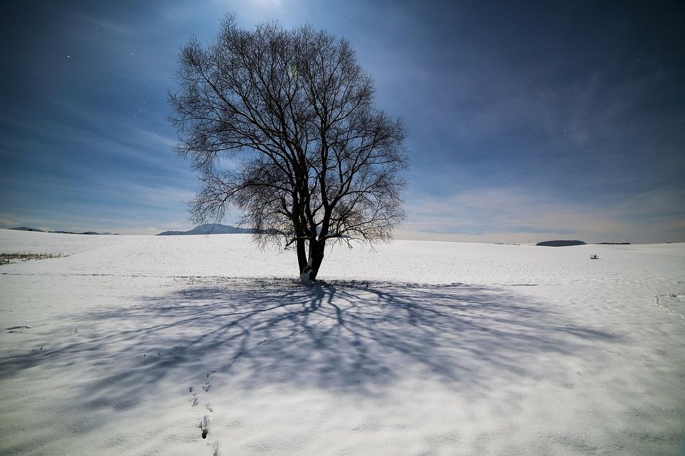 Photograph by Radim Ziman