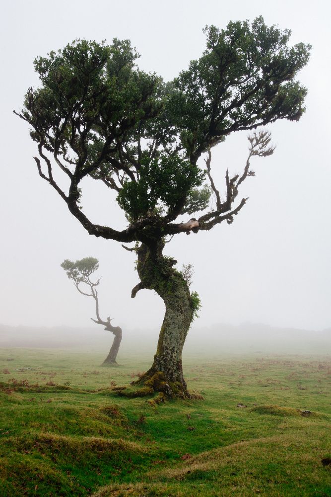 Photograph by Vitalis Vasylius