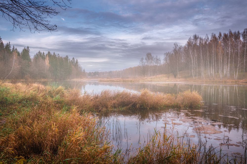 Photograph by Алена Устинович