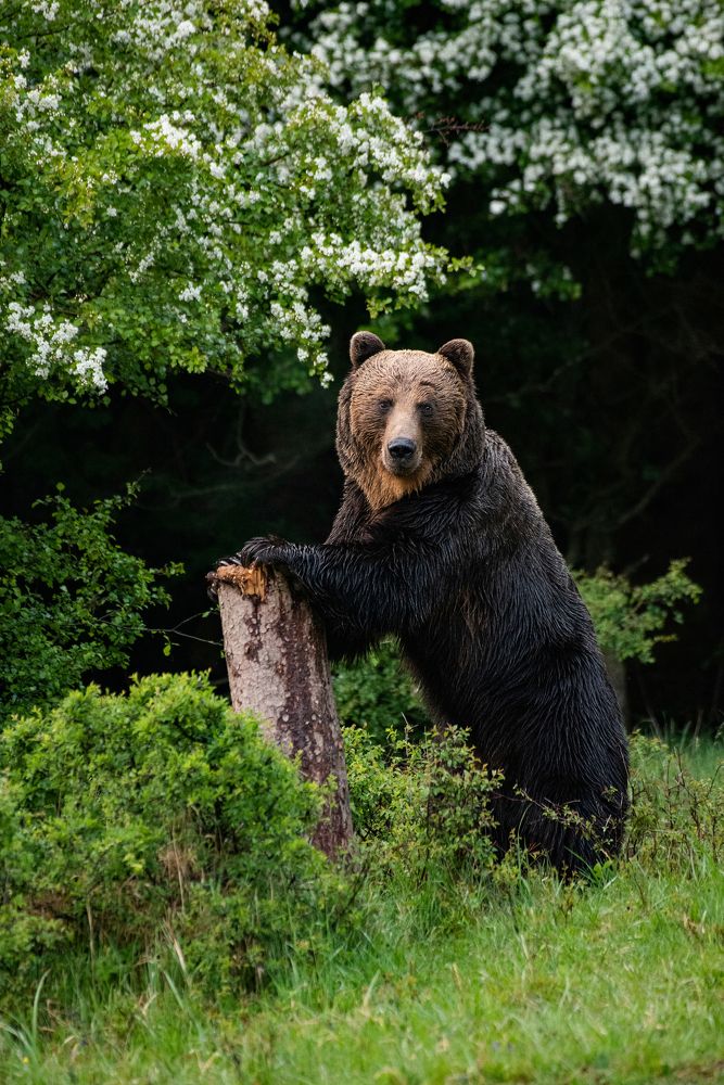 Photograph by Tomaš Smutný