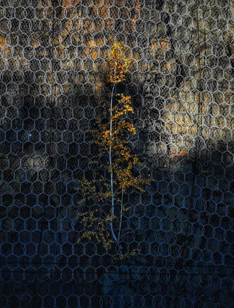 Photograph by Евгений Антонов