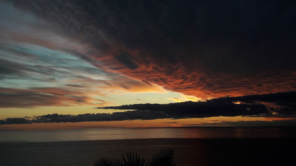 Photo #5653685