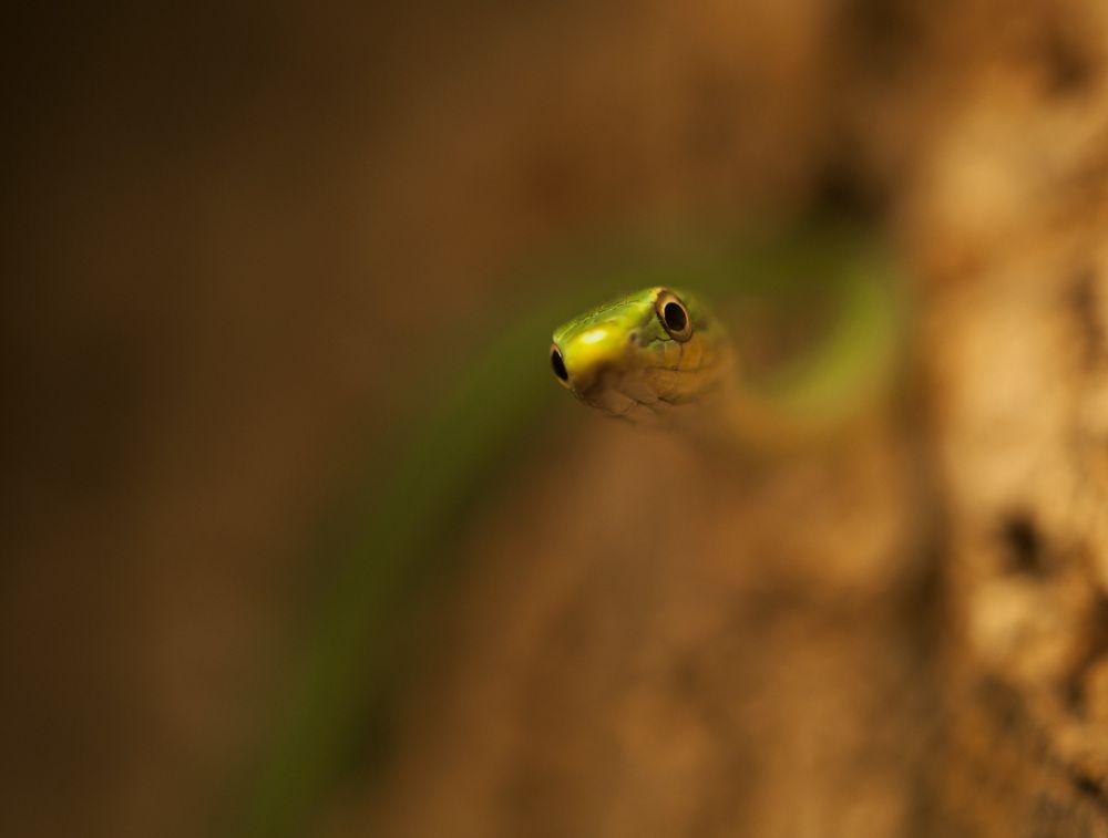 Photograph by Армашов-Тельник Григорий