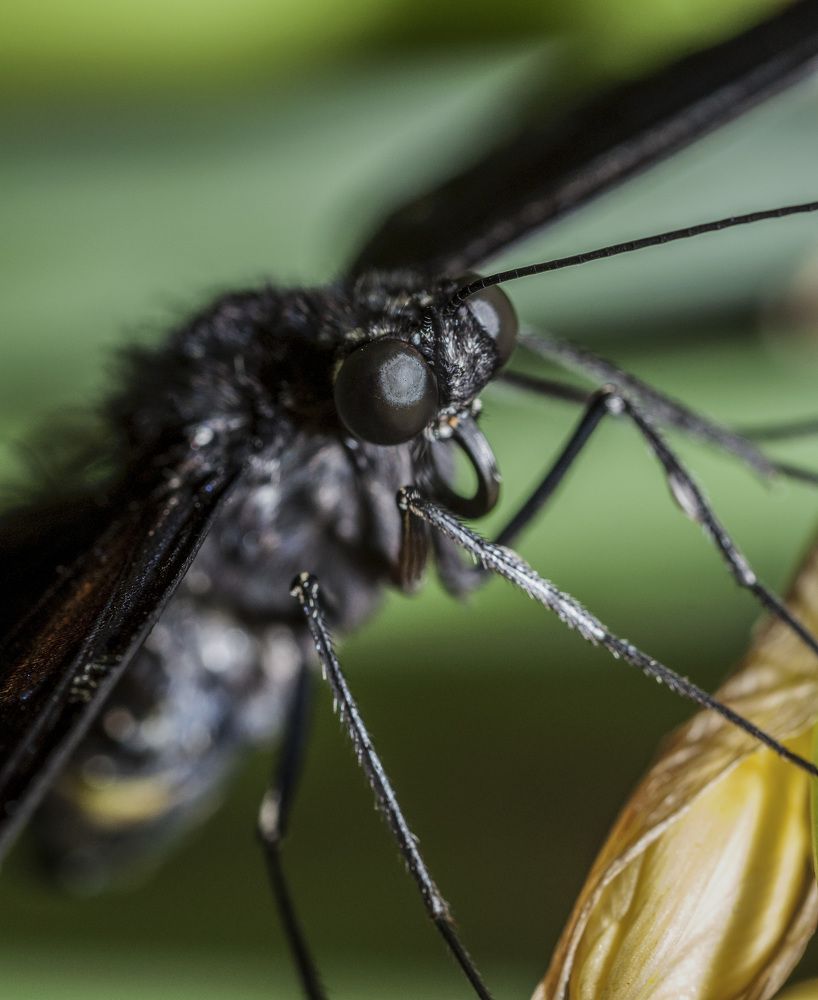 Photograph by Армашов-Тельник Григорий