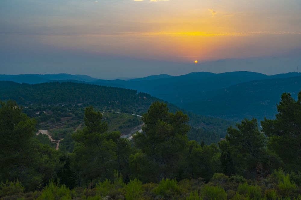 Фотография автора Инна Меркиш