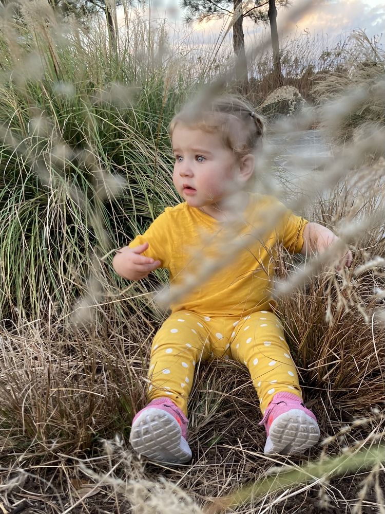 Фотография автора Anna Krylova