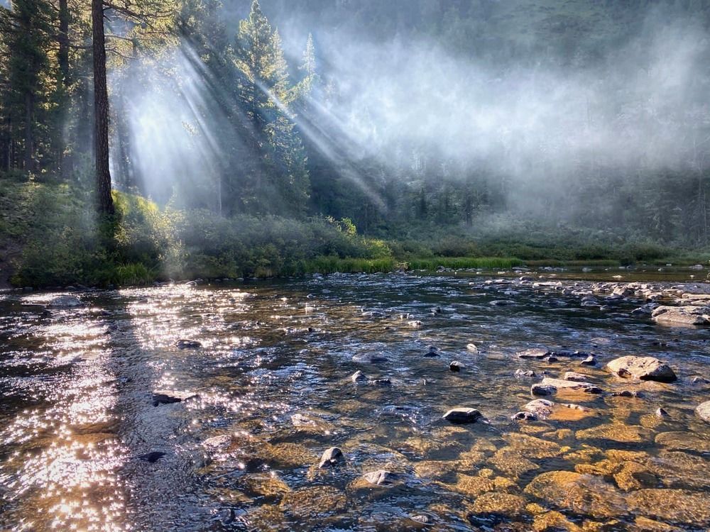 Photograph by Максим Мозжухин