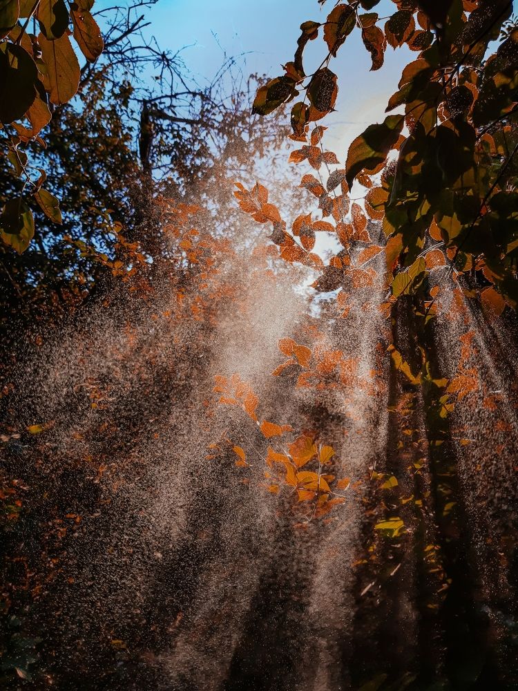 Photograph by Сергей Колос