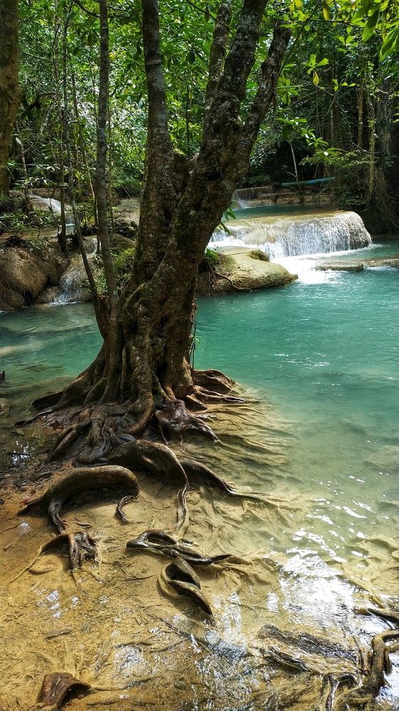 Photograph by Dominik Michalak