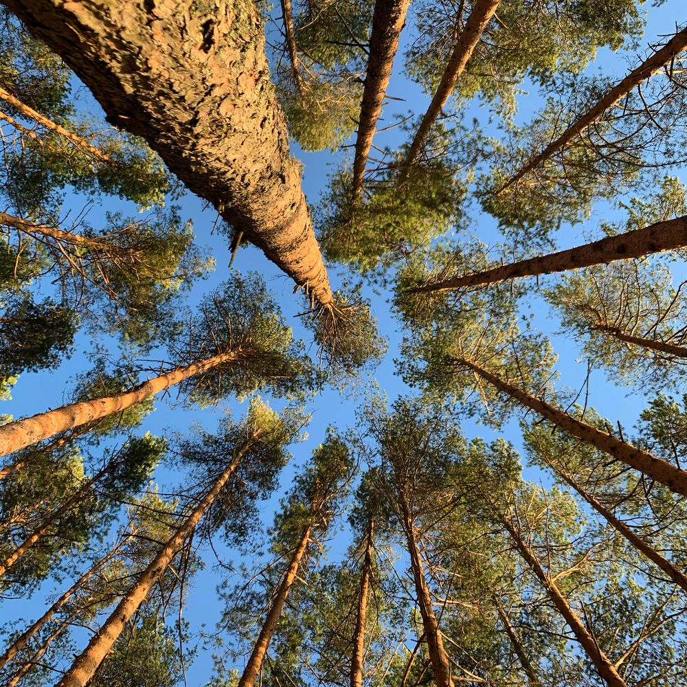 Photograph by Александр Жильцов