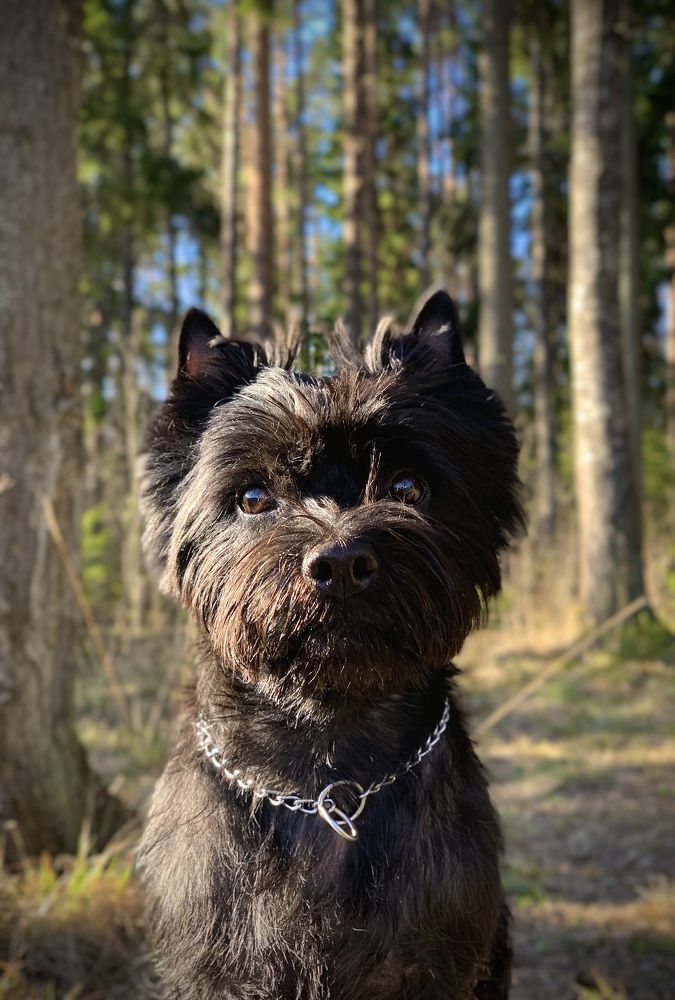 Photograph by Александр Жильцов