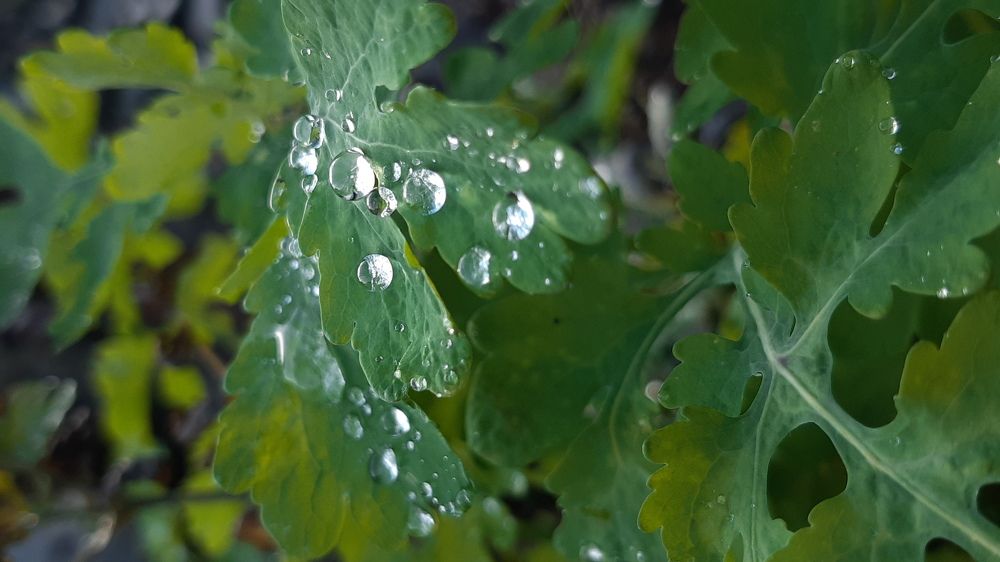 Отражение жизни