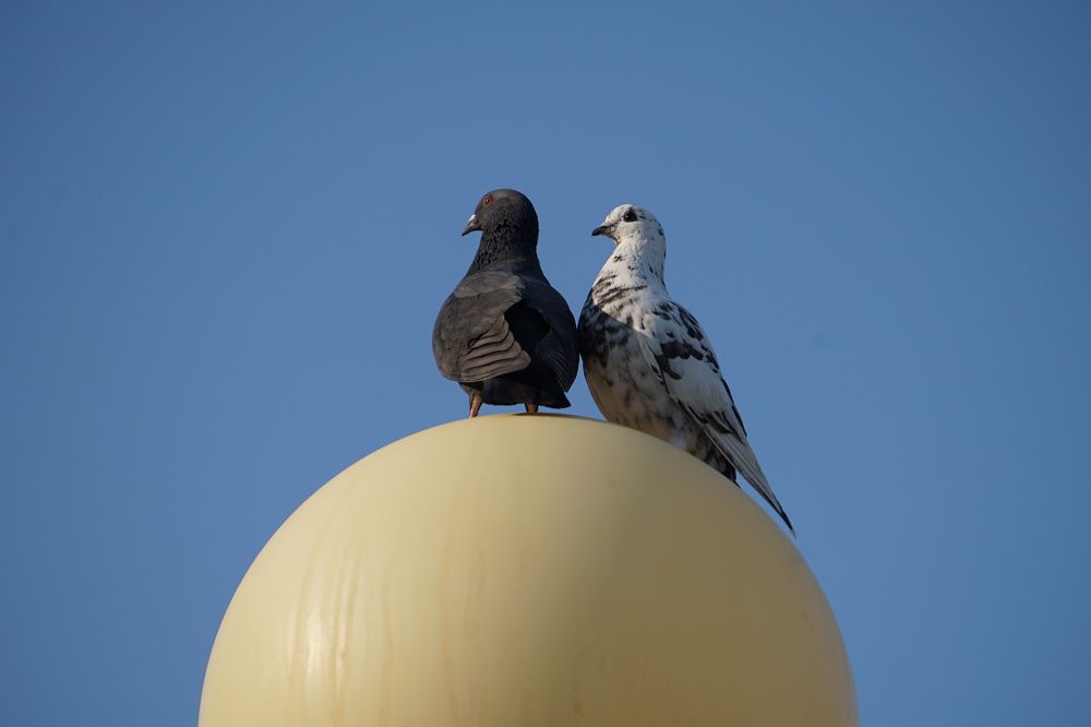 Photograph by Susan Adkinson