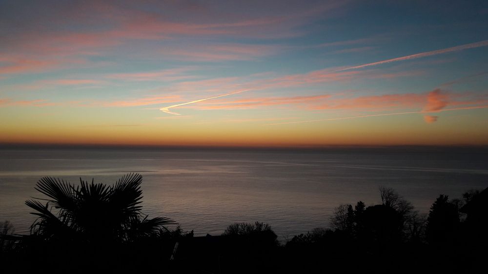 Photograph by Инна .ойко