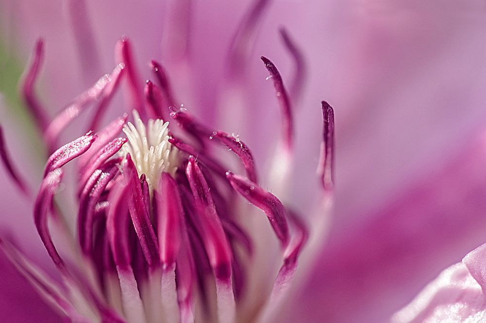 Photograph by Татьяна Александрова