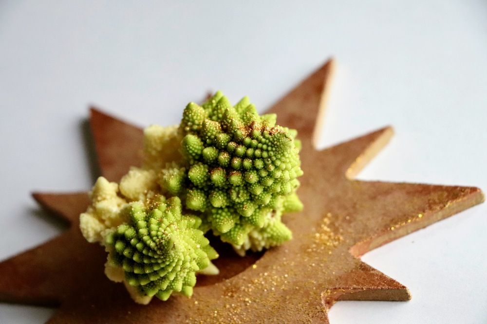 Photograph by Gabriela C