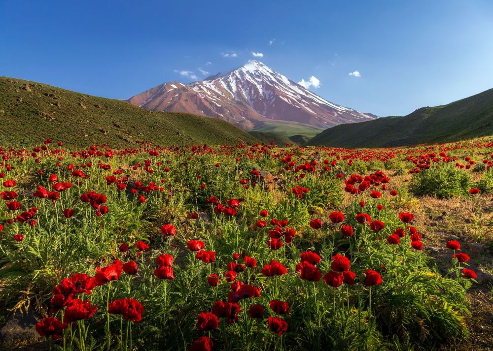 Photograph by Abbas Kalantar