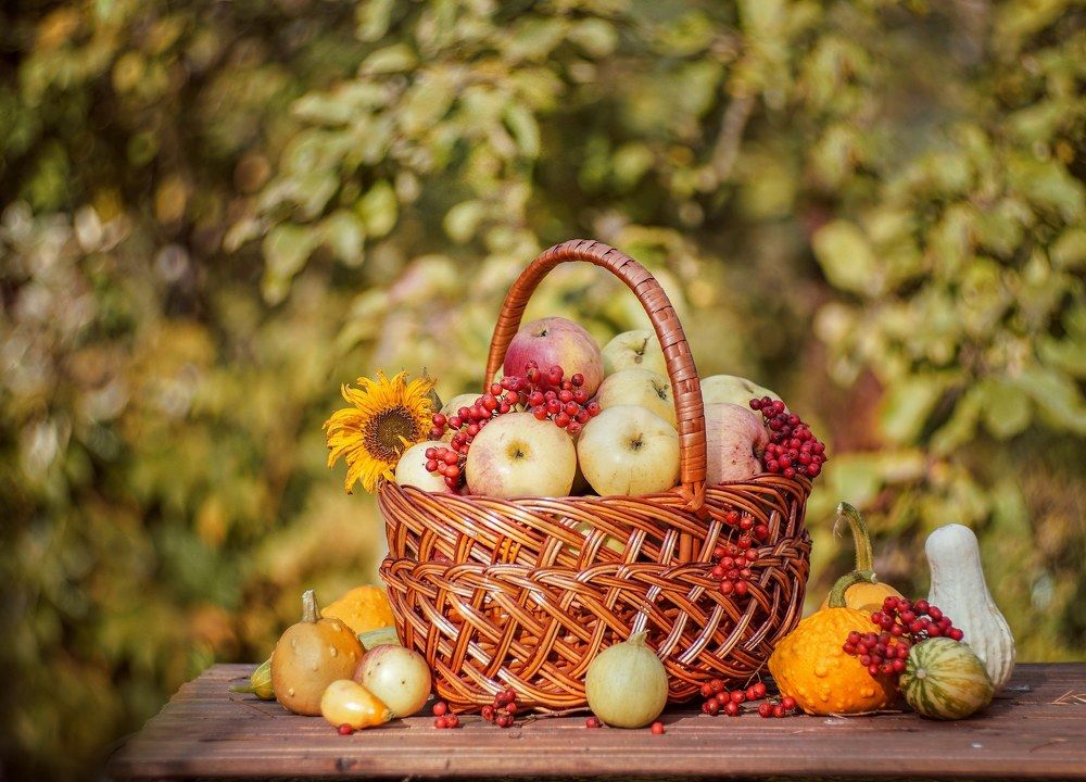 Photograph by Татьяна Александрова