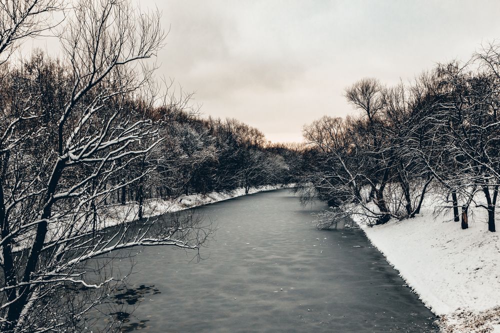 Photograph by Дмитрий Трепольский