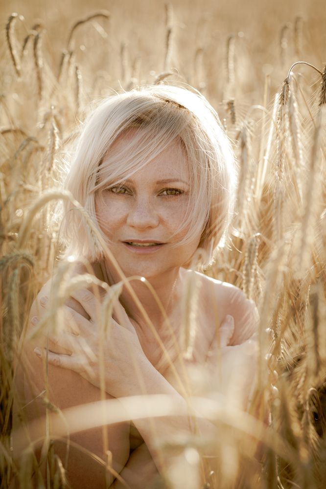 Вечер в пшеничном поле