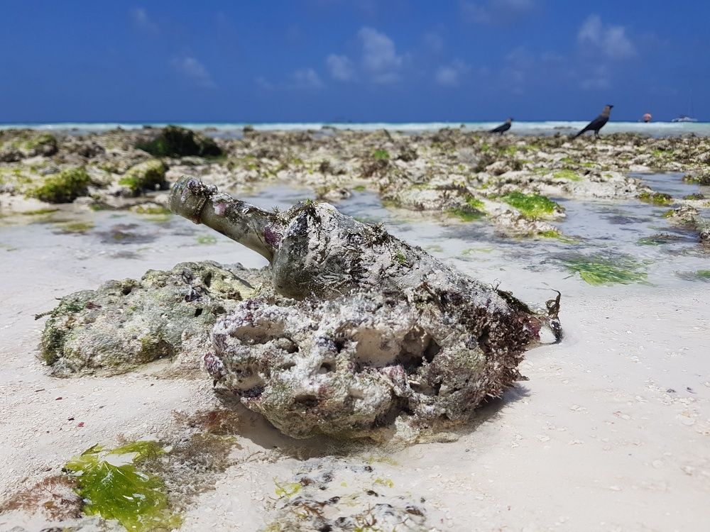 Photograph by Екатерина Вивюрская