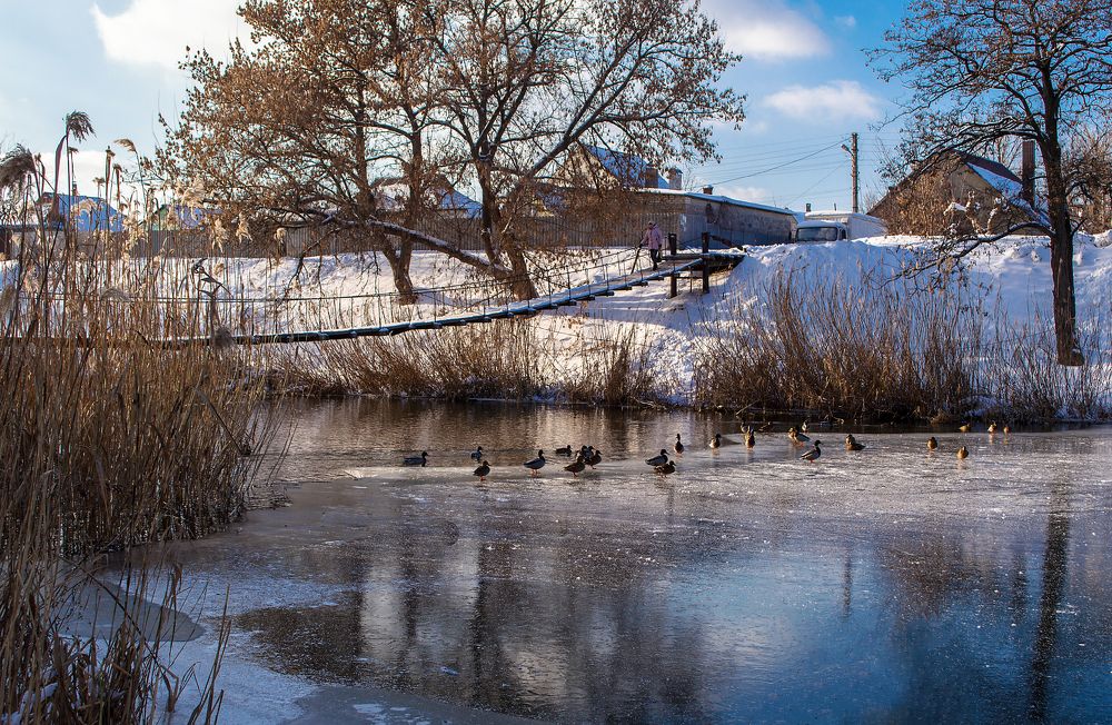 Photograph by Светлана Мельник