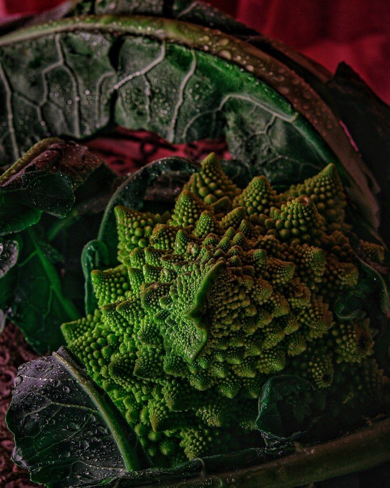 Photograph by Софья Яницкая