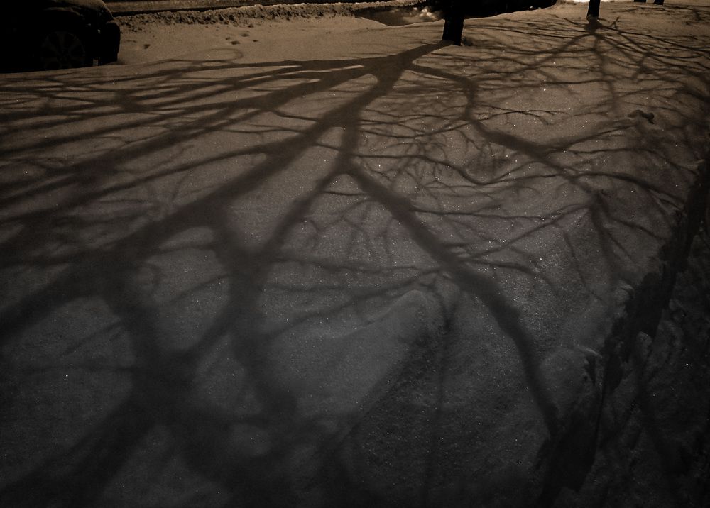 Photograph by Ольга Герасименко