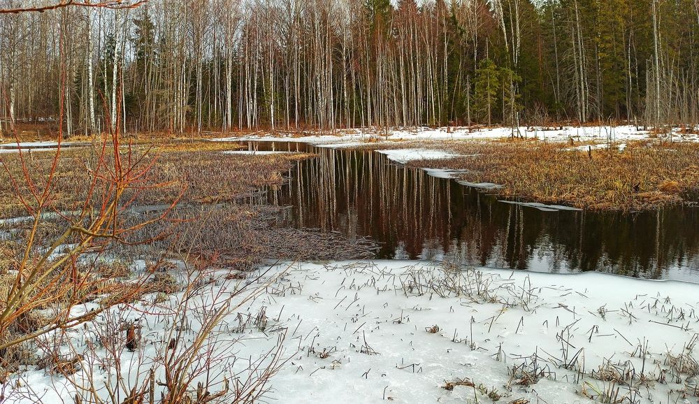 Photograph by Борис Каширин