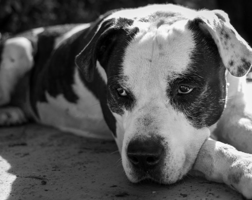 Photograph by Giannis Ioannidis