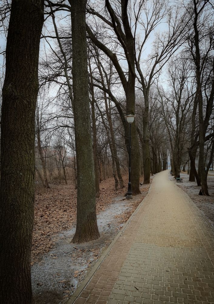 Photograph by Anastasiia