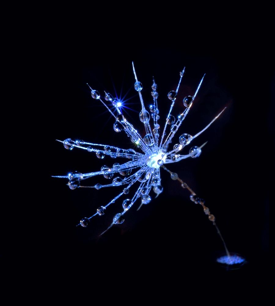 Гори, сияй в ночи звезда