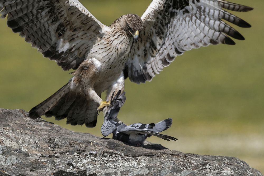 Photograph by Ernestas Balcikonis