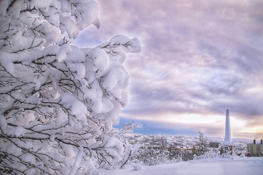 За полярным кругом