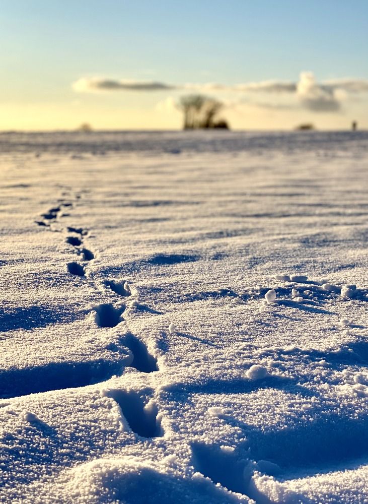 Photograph by Gabriela C