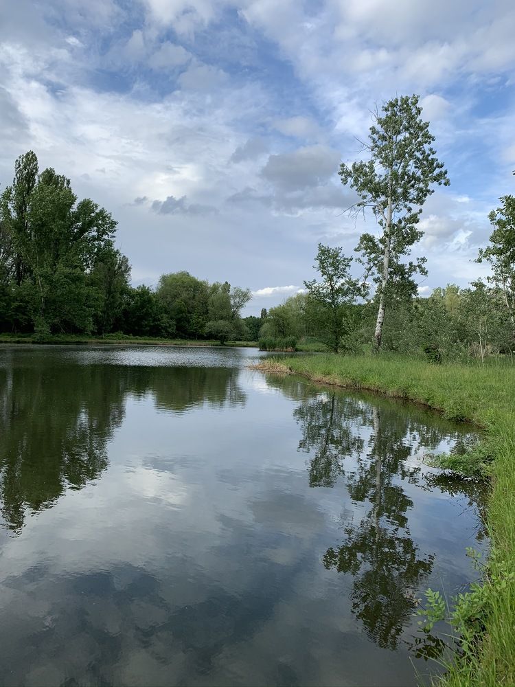 Mirror of the nature